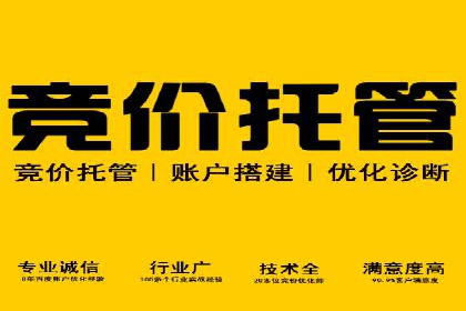托管SEM竞价优化：提升广告转化率的秘诀